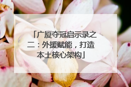 广厦夺冠启示录之二：外援赋能，打造本土核心架构
