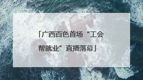 广西百色首场“工会帮就业”直播落幕