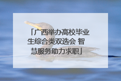 广西举办高校毕业生综合类双选会 智慧服务助力求职