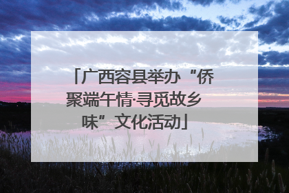 广西容县举办“侨聚端午情·寻觅故乡味”文化活动