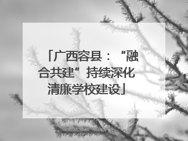 广西容县：“融合共建”持续深化清廉学校建设