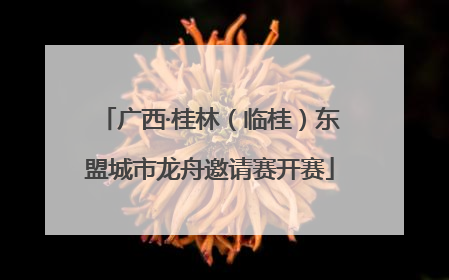 广西·桂林（临桂）东盟城市龙舟邀请赛开赛