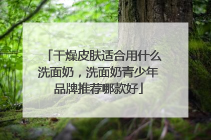 干燥皮肤适合用什么洗面奶，洗面奶青少年品牌推荐哪款好