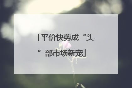 平价快剪成“头”部市场新宠