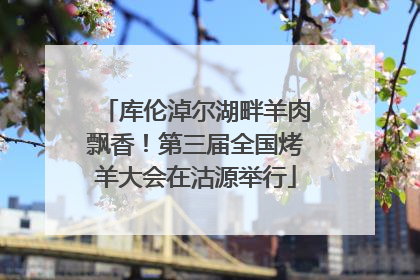 库伦淖尔湖畔羊肉飘香！第三届全国烤羊大会在沽源举行
