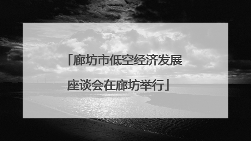廊坊市低空经济发展座谈会在廊坊举行