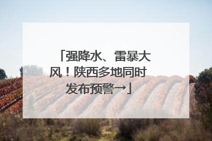 强降水、雷暴大风！陕西多地同时发布预警→
