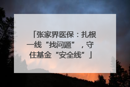 张家界医保：扎根一线“找问题”，守住基金“安全线”