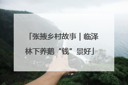 张掖乡村故事｜临泽林下养鹅“钱”景好