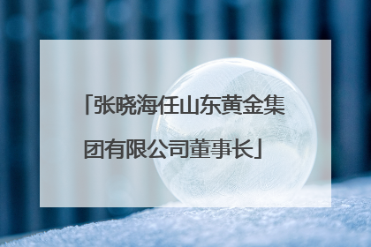张晓海任山东黄金集团有限公司董事长