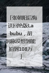张朝阳后悔送回绝版Labubu，胡润称没想到能拍到108万