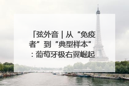 弦外音｜从“免疫者”到“典型样本”：葡萄牙极右翼崛起背后的欧洲困局