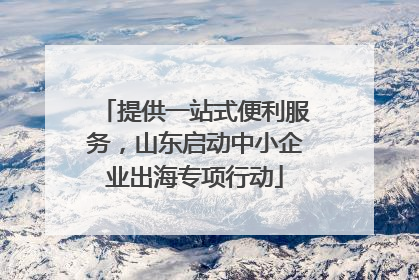 提供一站式便利服务，山东启动中小企业出海专项行动
