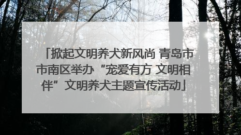 掀起文明养犬新风尚 青岛市市南区举办“宠爱有方 文明相伴”文明养犬主题宣传活动