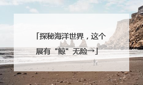 探秘海洋世界，这个展有“鲸”无险→