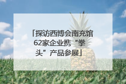 探访西博会南充馆 62家企业携“拳头”产品参展