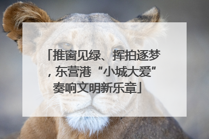 推窗见绿、挥拍逐梦，东营港“小城大爱”奏响文明新乐章