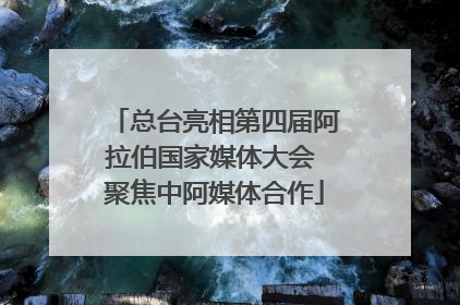 总台亮相第四届阿拉伯国家媒体大会 聚焦中阿媒体合作