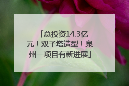 总投资14.3亿元！双子塔造型！泉州一项目有新进展