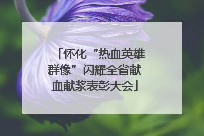 怀化“热血英雄群像”闪耀全省献血献浆表彰大会