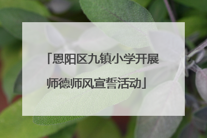 恩阳区九镇小学开展师德师风宣誓活动