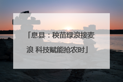 息县：秧苗绿浪接麦浪 科技赋能抢农时