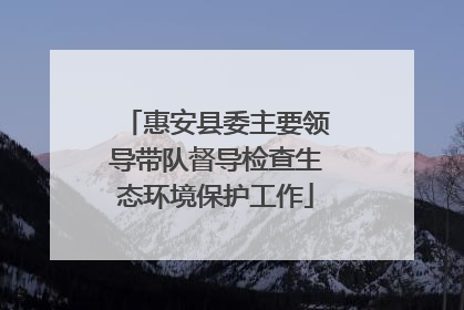 惠安县委主要领导带队督导检查生态环境保护工作