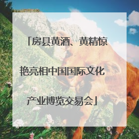 房县黄酒、黄精惊艳亮相中国国际文化产业博览交易会