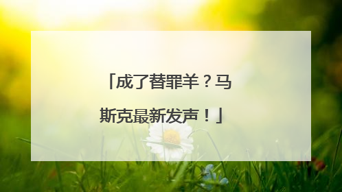 成了替罪羊？马斯克最新发声！