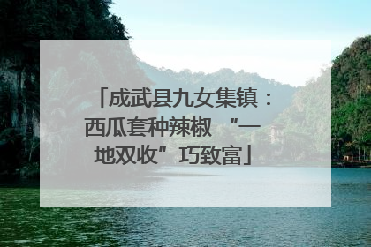 成武县九女集镇：西瓜套种辣椒 “一地双收”巧致富