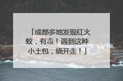 成都多地发现红火蚁，有毒！遇到这种小土包，绕开走！