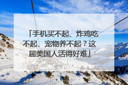 手机买不起、炸鸡吃不起、宠物养不起？这届美国人活得好难