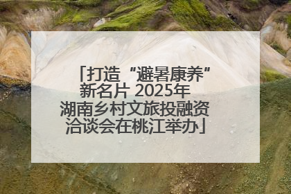 打造“避暑康养”新名片 2025年湖南乡村文旅投融资洽谈会在桃江举办