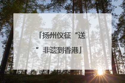 扬州仪征“送”非遗到香港