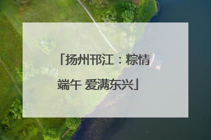 扬州邗江：粽情端午 爱满东兴