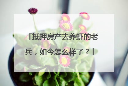抵押房产去养虾的老兵，如今怎么样了？