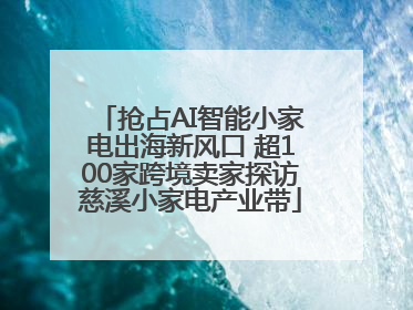 抢占AI智能小家电出海新风口 超100家跨境卖家探访慈溪小家电产业带