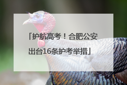 护航高考！合肥公安出台16条护考举措