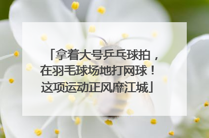 拿着大号乒乓球拍，在羽毛球场地打网球！这项运动正风靡江城