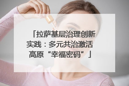 拉萨基层治理创新实践：多元共治激活高原“幸福密码”