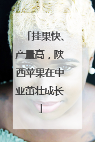 挂果快、产量高，陕西苹果在中亚茁壮成长