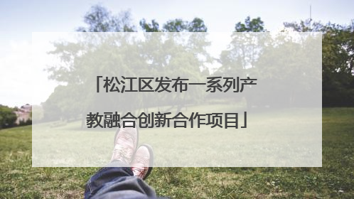 松江区发布一系列产教融合创新合作项目