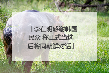 李在明感谢韩国民众 称正式当选后将同朝鲜对话