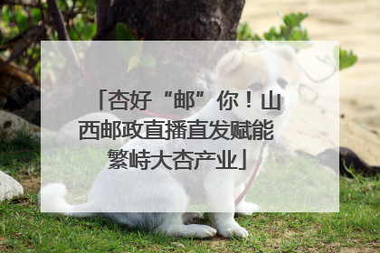 杏好“邮”你！山西邮政直播直发赋能繁峙大杏产业