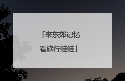 来东郊记忆 看旅行蛙蛙