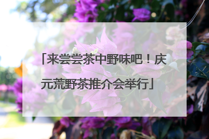 来尝尝茶中野味吧！庆元荒野茶推介会举行