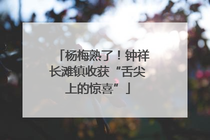 杨梅熟了！钟祥长滩镇收获“舌尖上的惊喜”