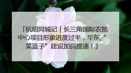 杭绍同城记｜长三角国际农批中心项目形象进度过半，华东“菜篮子”建设加码提速！