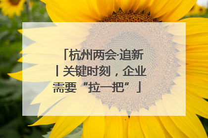 杭州两会·追新丨关键时刻，企业需要“拉一把”