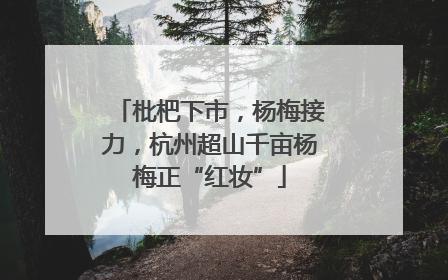 枇杷下市，杨梅接力，杭州超山千亩杨梅正“红妆”